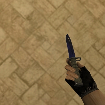 Bayonet | Doppler