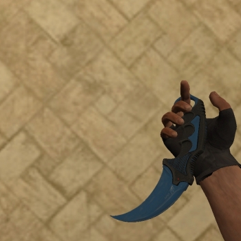 Karambit | Cooldown