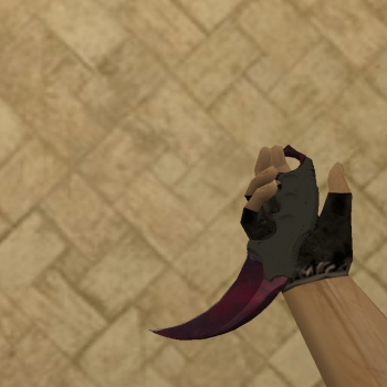 Karambit | Doppler Phase 2