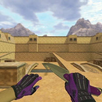 Gut Knife | Ultraviolet + Gloves