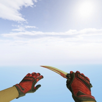 Flip Knife | Autotronic + Gloves