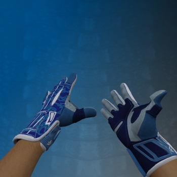 Pack ★ Sport Gloves | Amphibious for CS 1.6